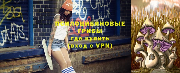 трава Бородино