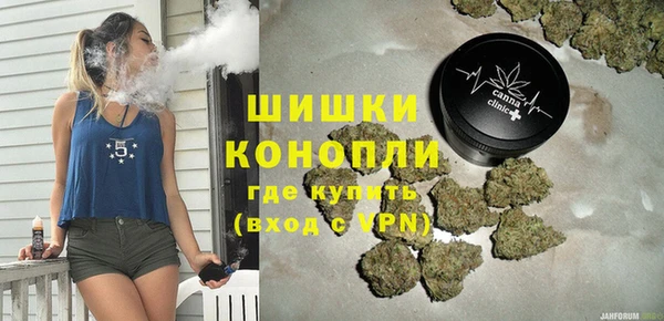 трава Бородино