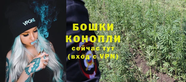 трава Бородино