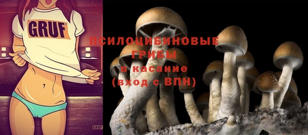 трава Бородино