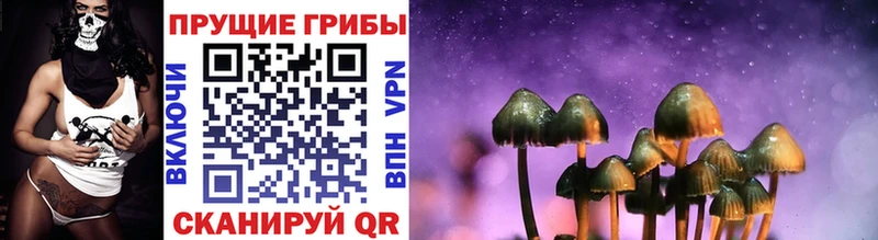 Псилоцибиновые грибы GOLDEN TEACHER Губаха
